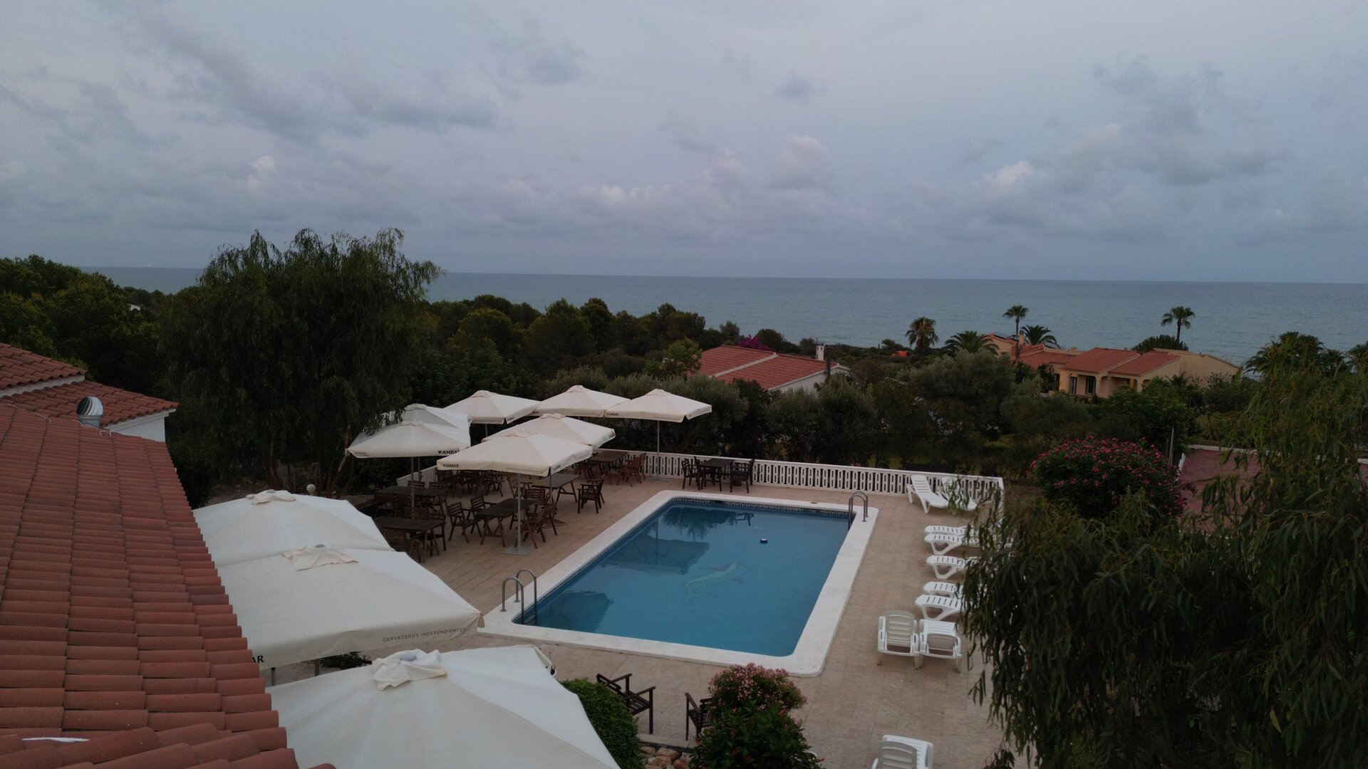 Gastronomía local — arroz a banda