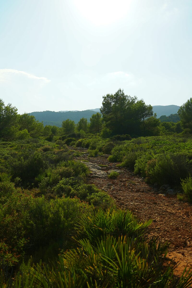 Castillo de Peñíscola